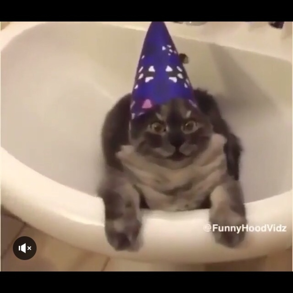 Meet your Posher, Kacie